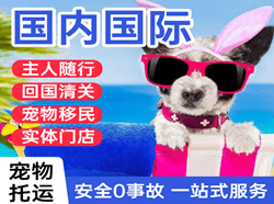 淮安涟水机场货运国际宠物托运 【国